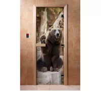 Дверь для бани с фотопечатью A061 - DoorWood