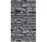 Плита ФАСПАН Серый камень №1008 Вертикаль (1200х600х8мм)